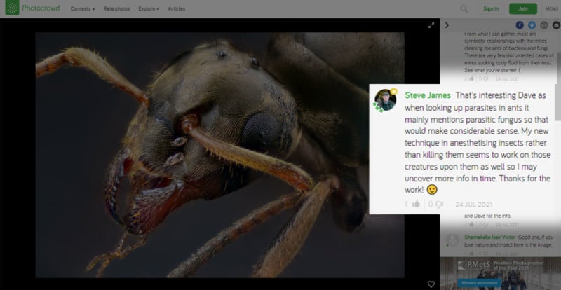 A screenshot of a photo and the comments on it A screenshot of a photo and the comments on it