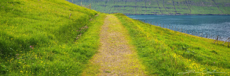 Path-Of-Inner-Peace-Coastal-Wildflowers-Faroe-Islands-Gintchin-Fine-Art-800x267.jpg