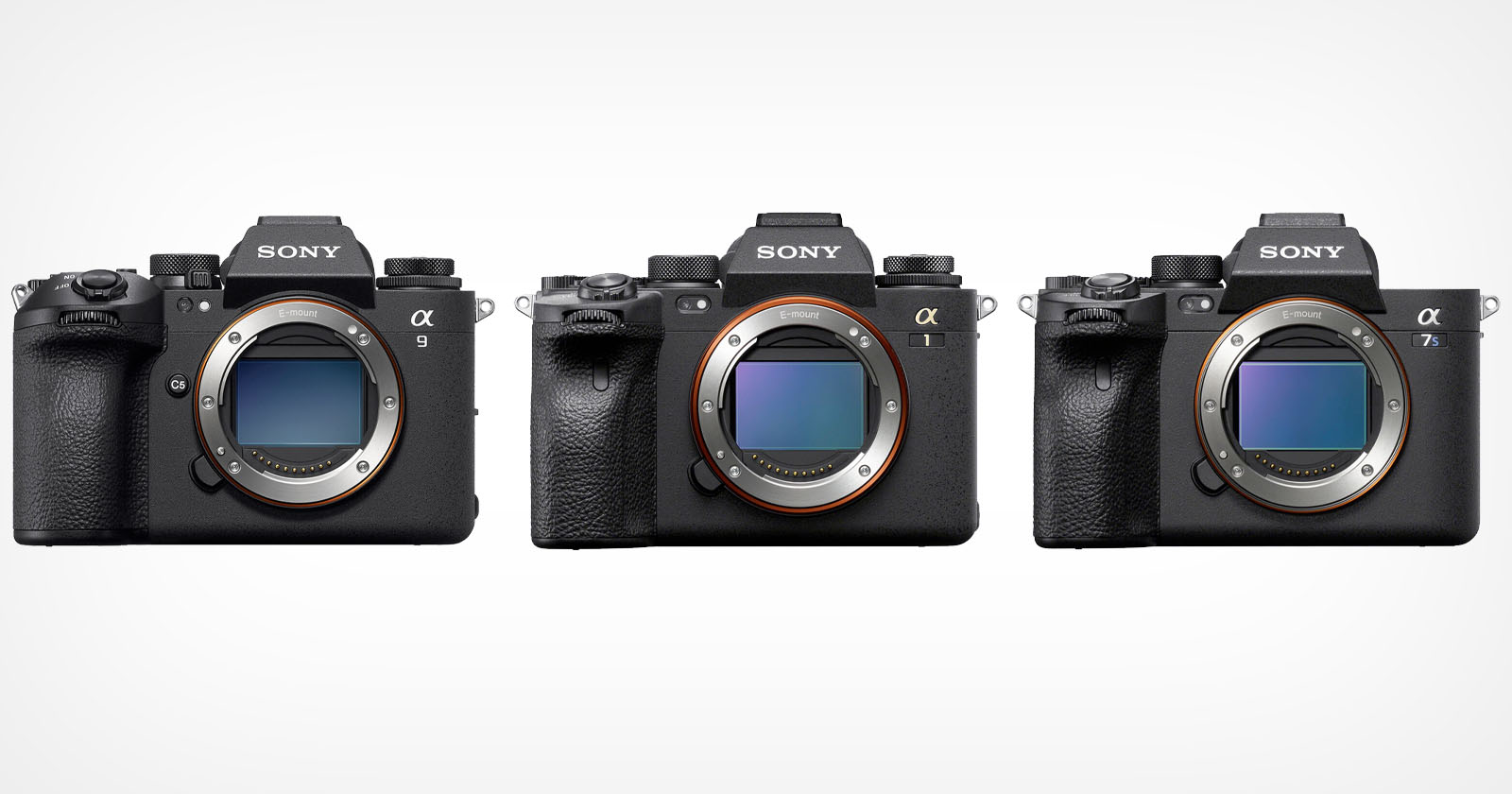 Sony cameras Sony cameras