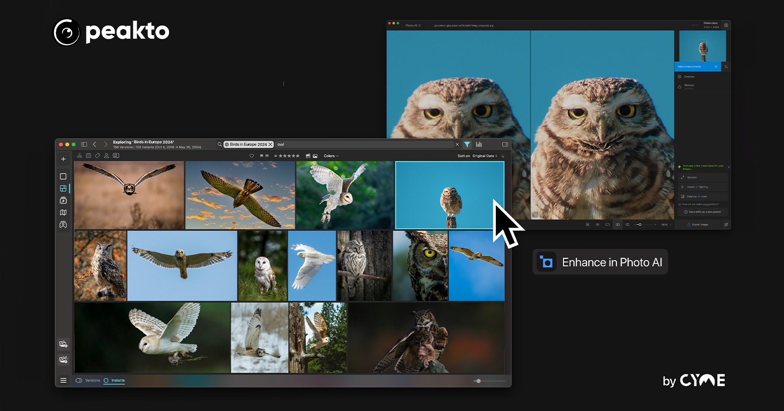 A screenshot showcasing the Peakto software interface, featuring multiple images of owls in a photo gallery. One image is being enhanced using Photo AI, with a side-by-side comparison of the original and the enhanced photo. Peakto and CYME logos are visible. A screenshot showcasing the Peakto software interface, featuring multiple images of owls in a photo gallery. One image is being enhanced using Photo AI, with a side-by-side comparison of the original and the enhanced photo. Peakto and CYME logos are visible.