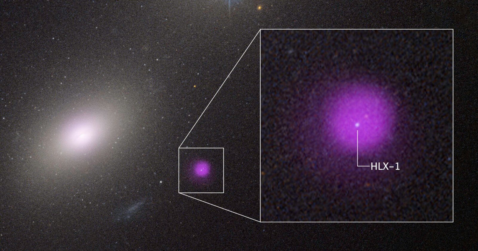 A galaxy with a bright core is shown. An inset zooms in on a glowing purple spot labeled HLX-1, highlighting a specific object within the galaxy against a field of stars. A galaxy with a bright core is shown. An inset zooms in on a glowing purple spot labeled HLX-1, highlighting a specific object within the galaxy against a field of stars.