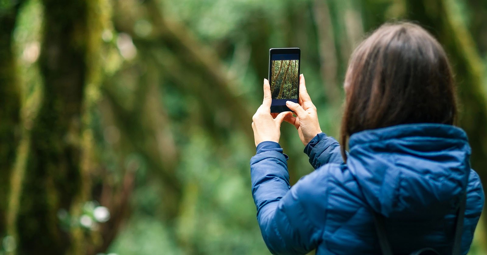 A person wearing a blue jacket takes a photo of a lush, green forest using a smartphone. The individual is facing away from the camera, and trees fill the background. A person wearing a blue jacket takes a photo of a lush, green forest using a smartphone. The individual is facing away from the camera, and trees fill the background.