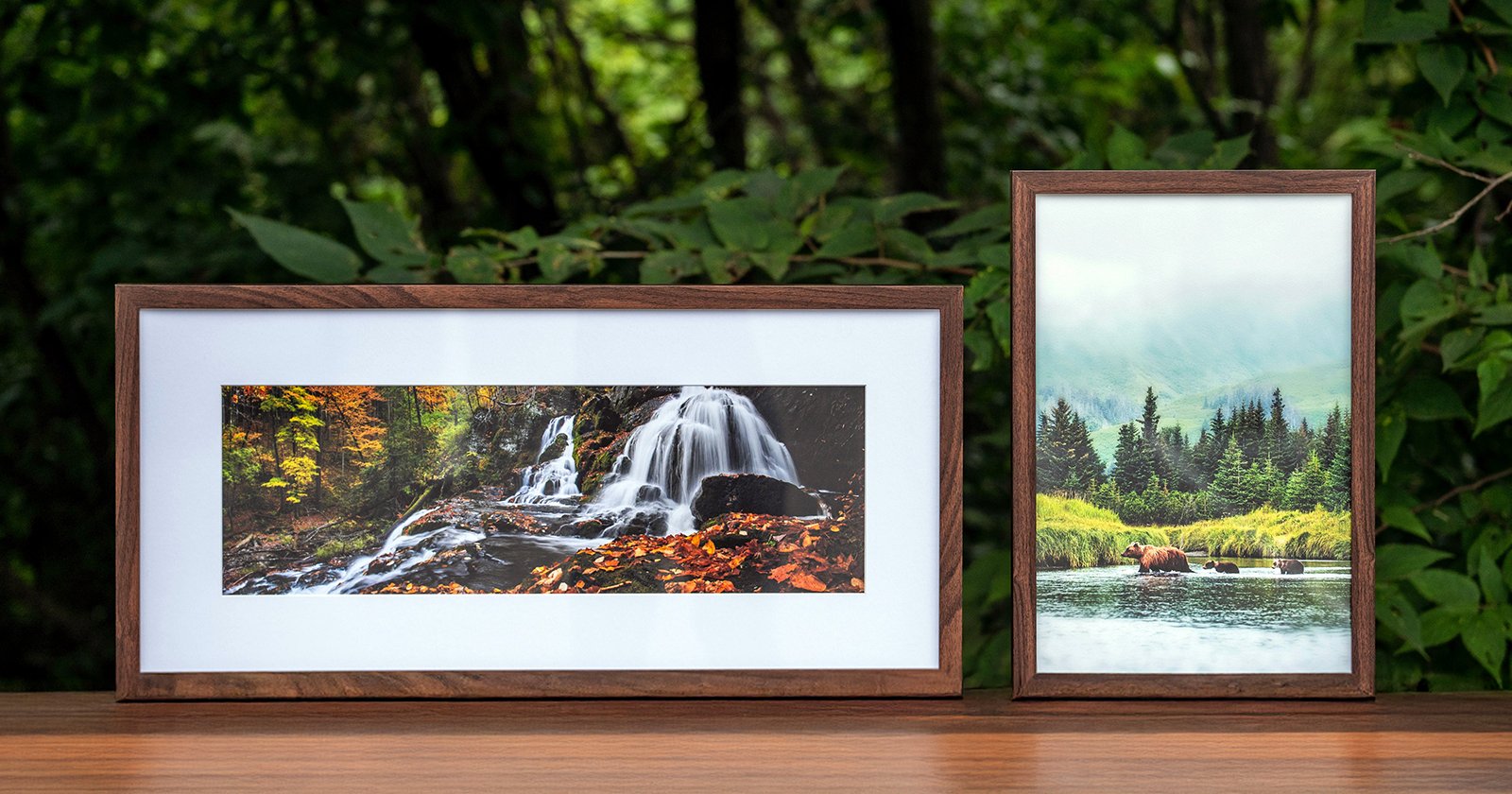 Two framed nature photographs on a wooden surface outdoors; one shows a waterfall with autumn leaves, the other shows a bear walking by a lake with pine trees and misty mountains in the background. Two framed nature photographs on a wooden surface outdoors; one shows a waterfall with autumn leaves, the other shows a bear walking by a lake with pine trees and misty mountains in the background.