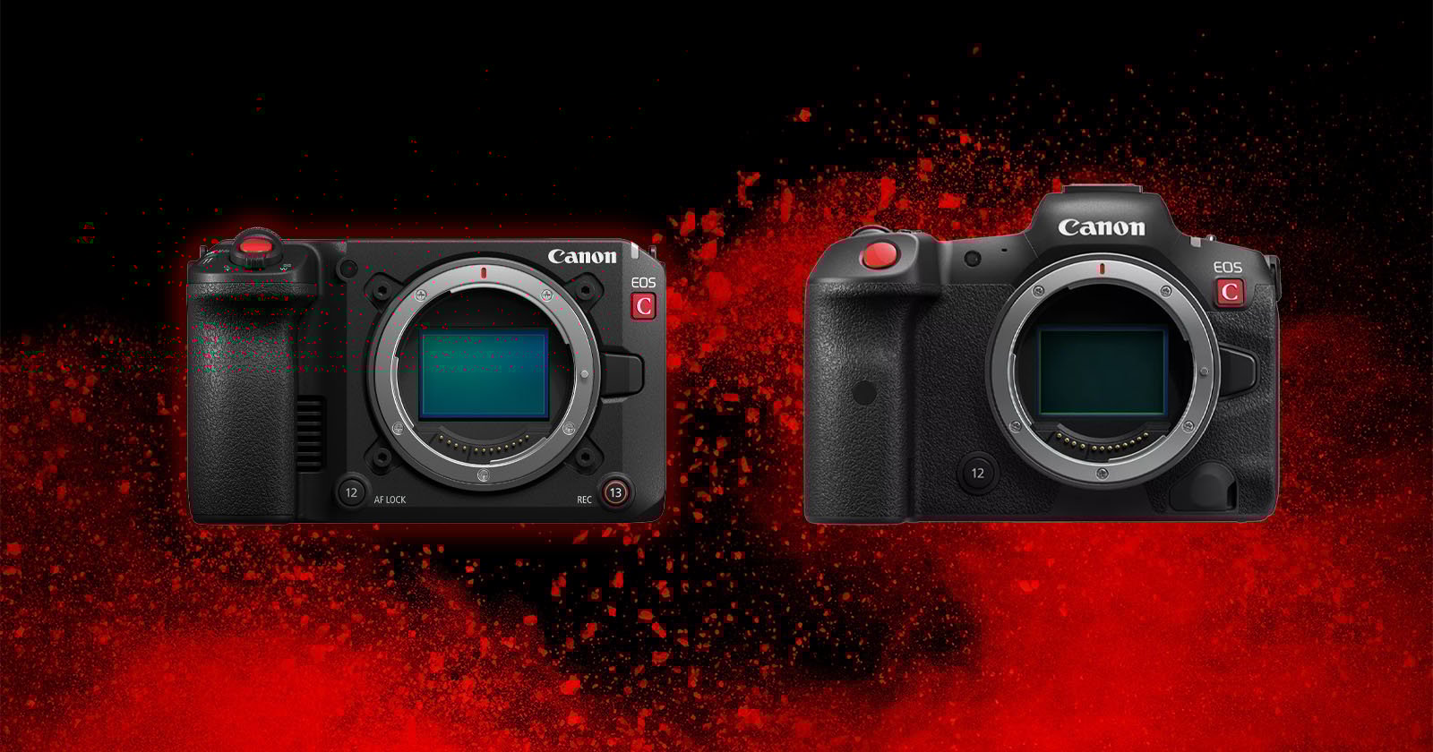 Two Canon mirrorless camera bodies are displayed side by side against a black background with red splatter. The cameras are shown without lenses, revealing their sensors. Two Canon mirrorless camera bodies are displayed side by side against a black background with red splatter. The cameras are shown without lenses, revealing their sensors.