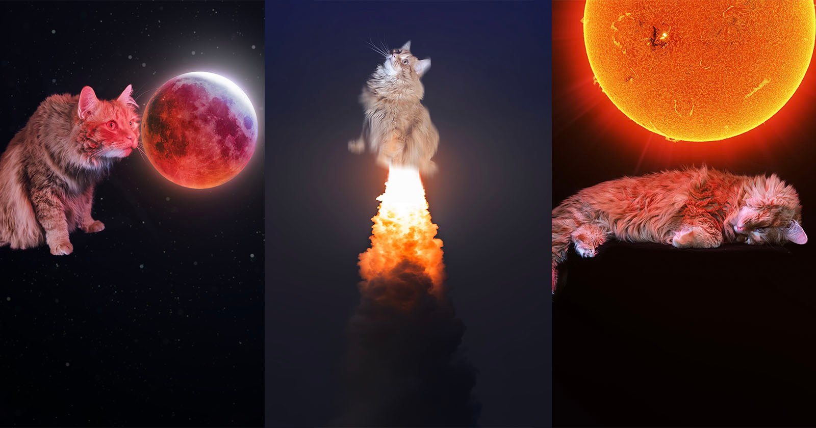 A three-panel image: left, a cat floats near a red planet in space; center, a cat launches upward on a rocket plume; right, a cat naps beneath a bright orange sun. A three-panel image: left, a cat floats near a red planet in space; center, a cat launches upward on a rocket plume; right, a cat naps beneath a bright orange sun.